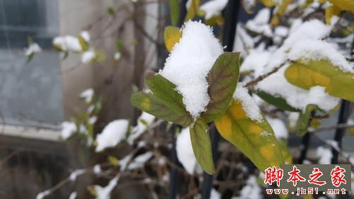 galaxy S6 edge+ͻΪMate S