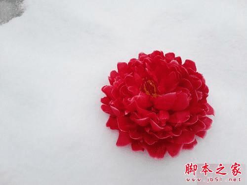 galaxy S6 edge+ͻΪMate S