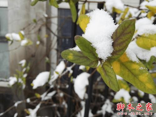 galaxy S6 edge+ͻΪMate S