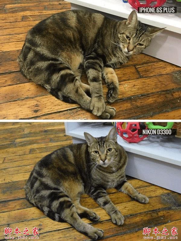 iPhone 6s Plus῵D3300ضԱ