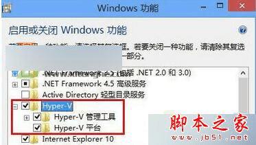 δWin8.1ϵͳ򿪷籩ʾhosbox_panel.exe"⣿