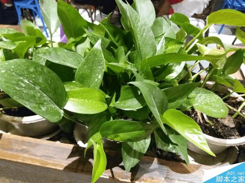 三星galaxy c5的性能评测