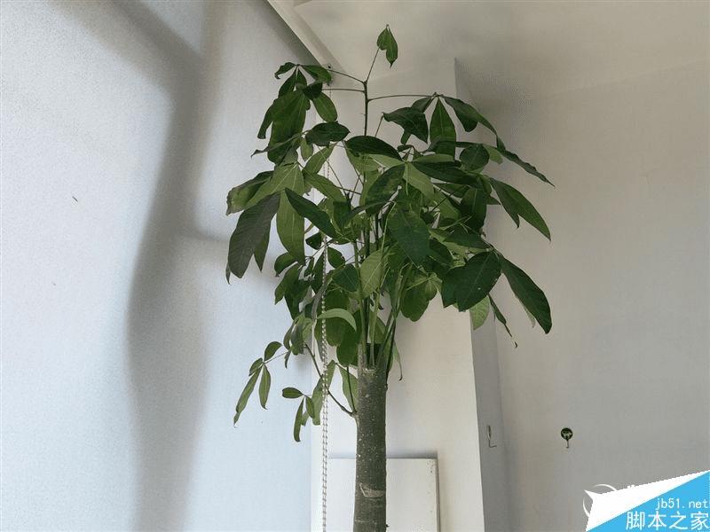 三星galaxy c5的性能评测