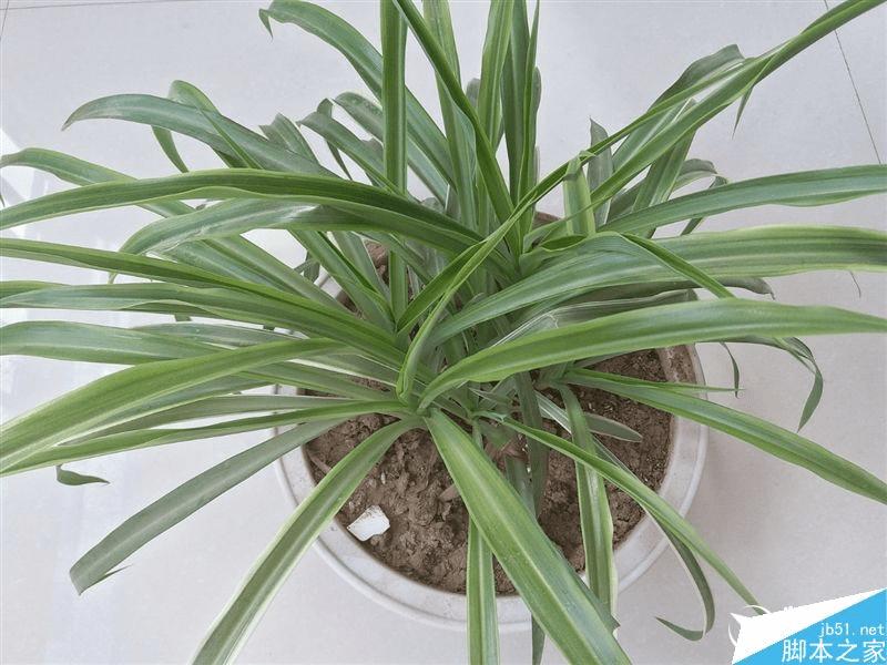 三星galaxy c5的性能评测