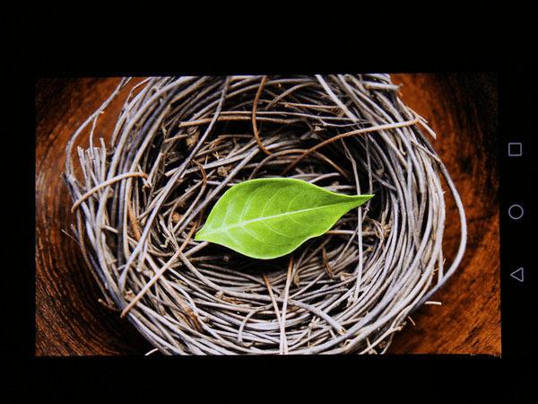 ��ΪMate8��������Σ�