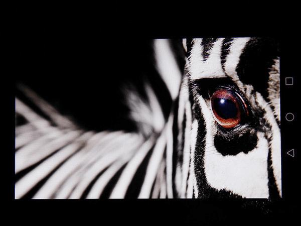 ��ΪMate8��������Σ�