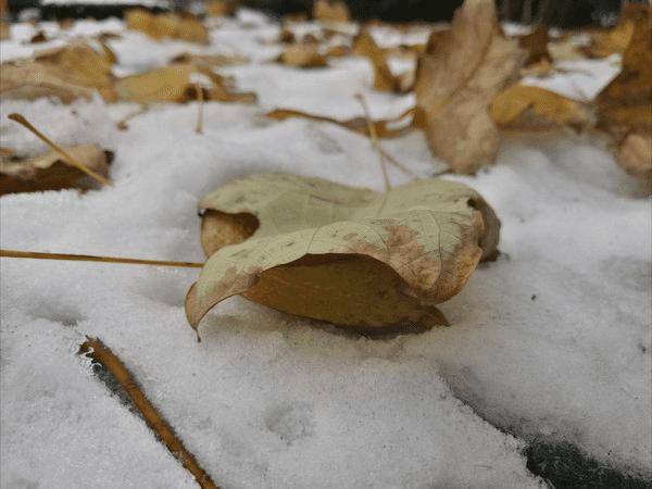 ��ΪMate8��������Σ�