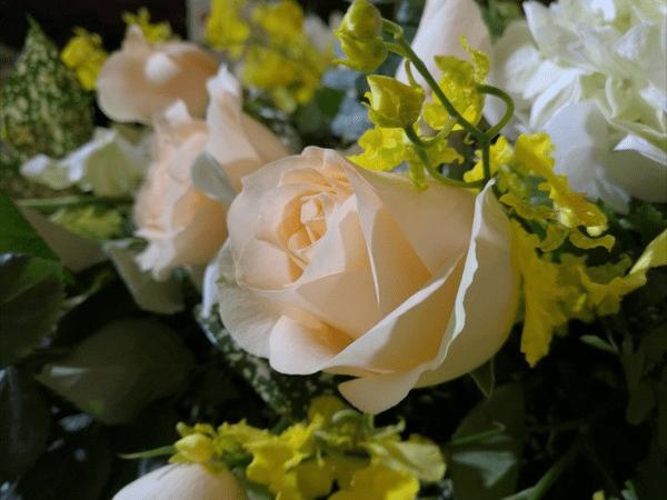 ��ΪMate8��������Σ�