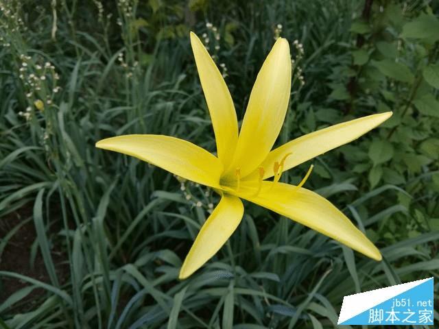 荣耀note8的性能评测