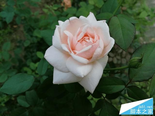 荣耀note8的性能评测