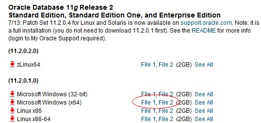 װжOracle 11gݿĽ̳