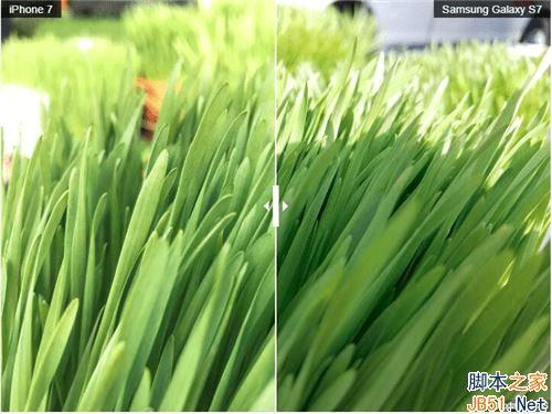 iPhone7和三星S7的拍照性能对比