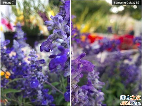 iPhone7和三星S7的拍照性能对比