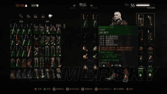 巫师3全师匠级套装外观如何?