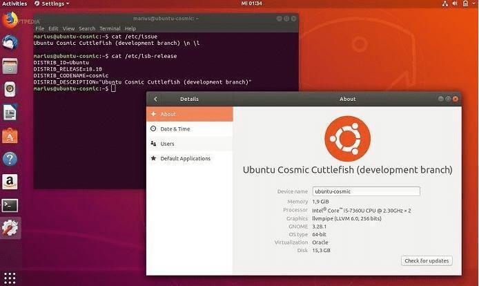 ubuntu18.10