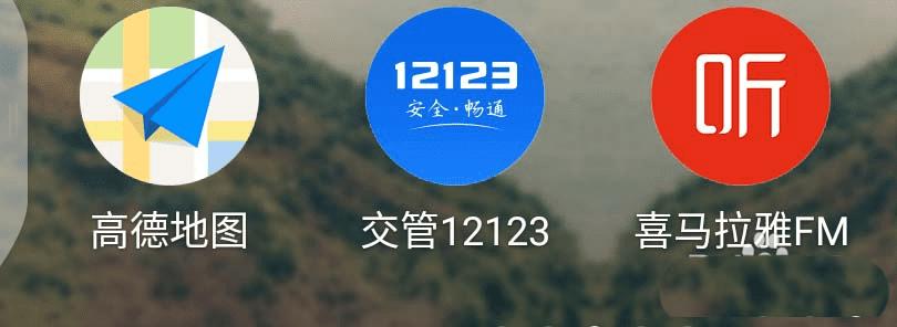 在交管12123中查询机动车状态信息的步骤