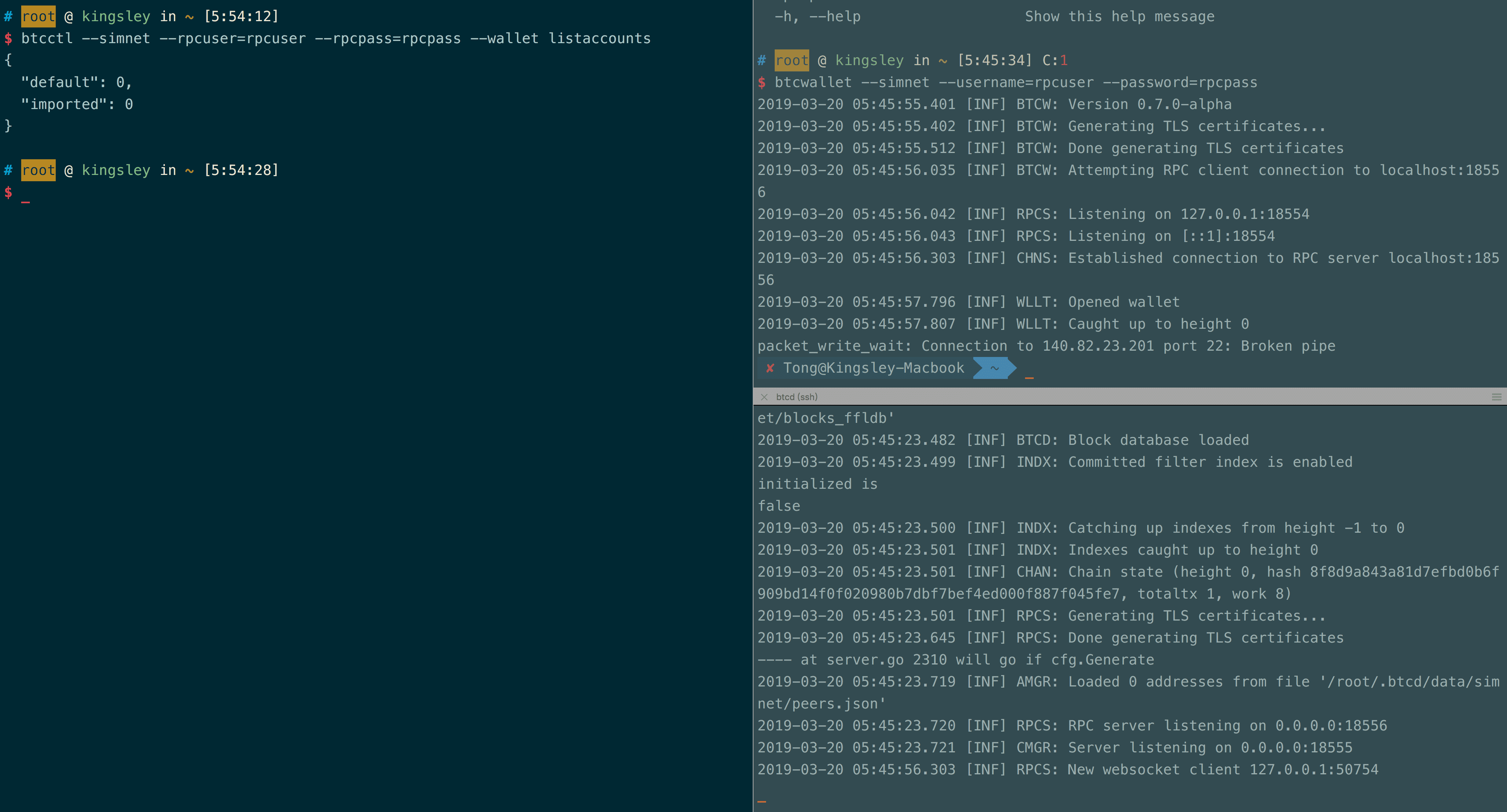 btcd simnet(模拟环境下)单节点与双节点的运行