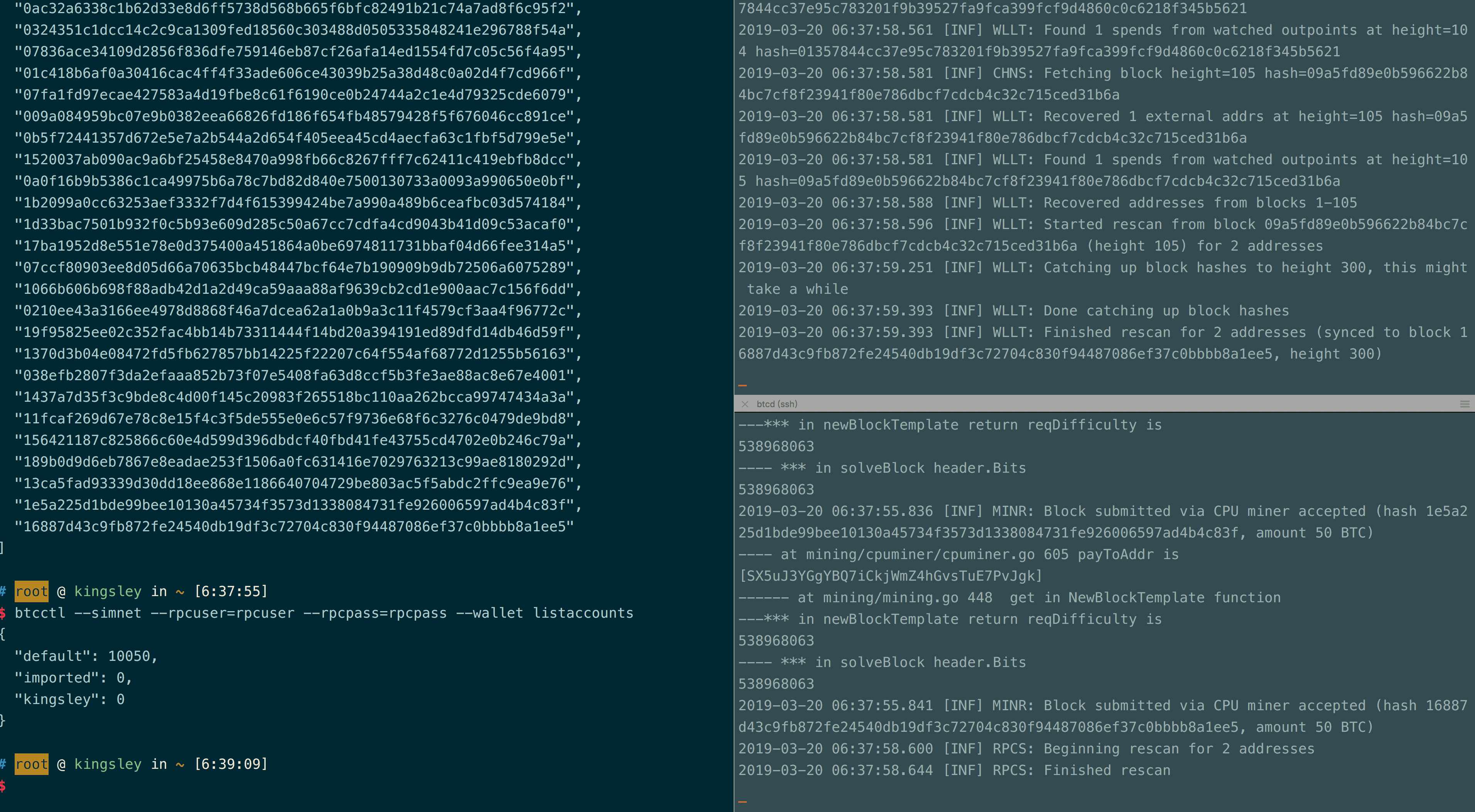 btcd simnet(模拟环境下)单节点与双节点的运行