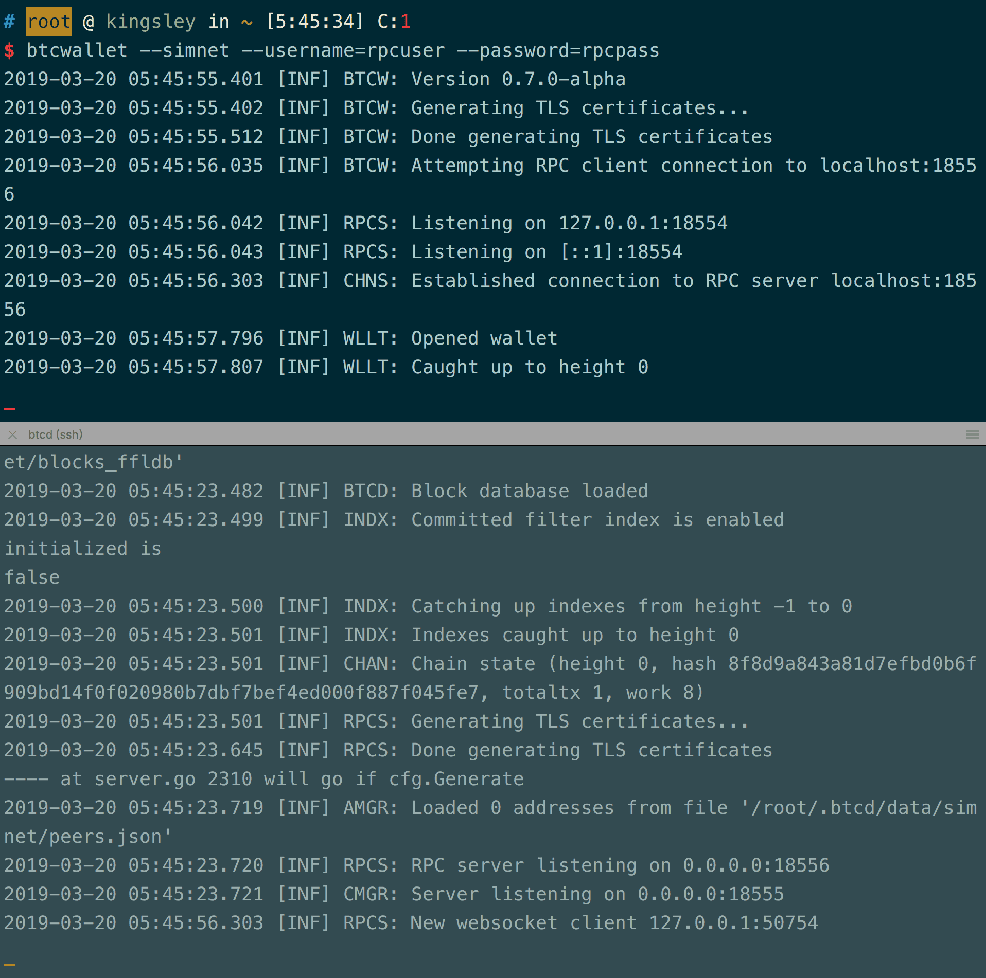 btcd simnet(模拟环境下)单节点与双节点的运行