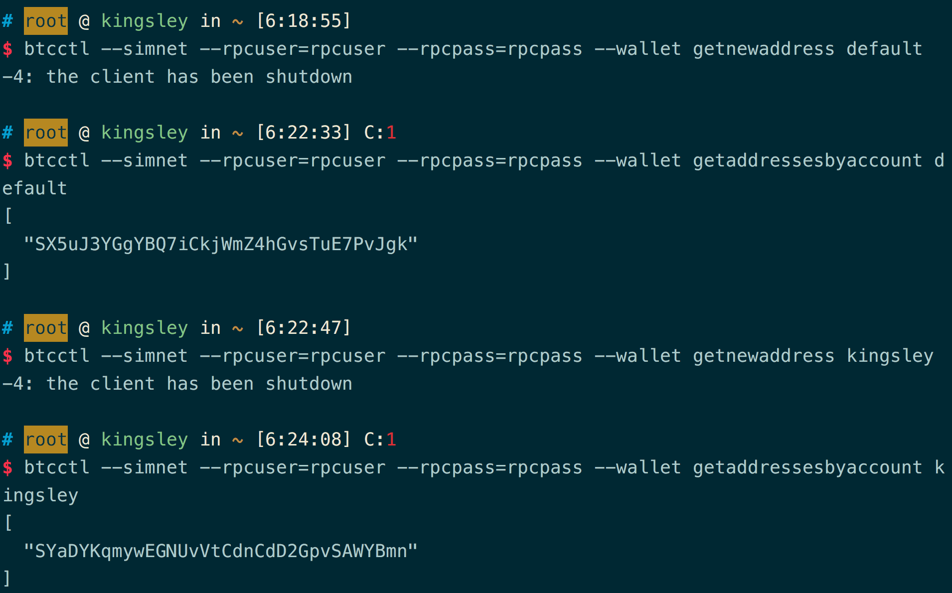 btcd simnet(模拟环境下)单节点与双节点的运行