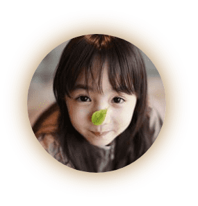 css样式如何设置边框,阴影,渐变等特效以及通过box-sizing属性设置盒子模型,背景区域设置等