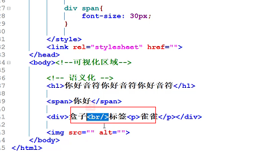 预科四---雀雀老师
