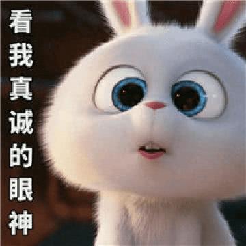 有一种"百爪挠心"叫智能客服不"智能"