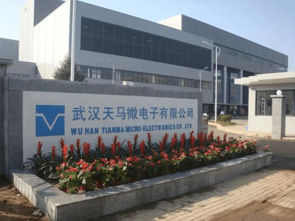 黑天鹅会遮蔽"中国光谷"武汉的芯片,光通信,面板吗?