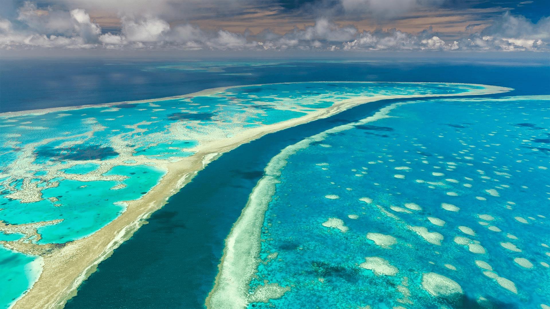 大堡礁澳大利亚昆士兰awlimagesdanitadelimont